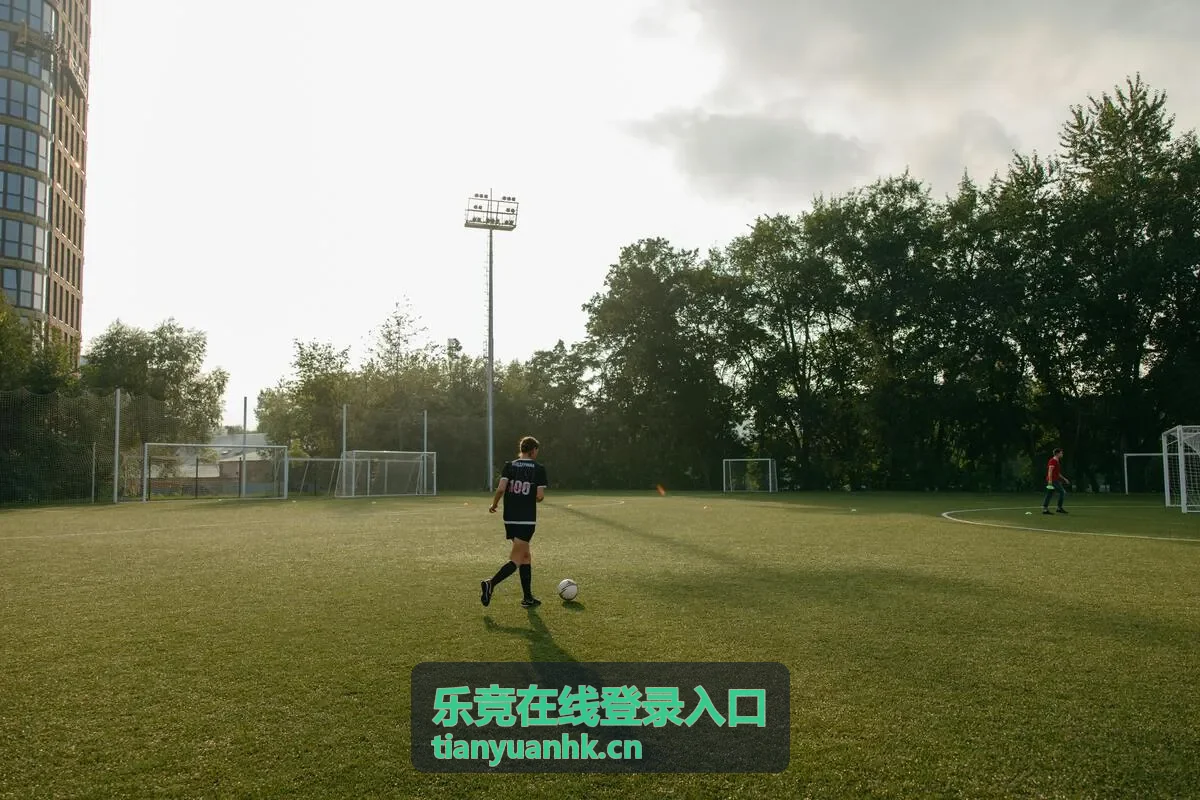乐竞在线登录入口验证码延迟处理示意